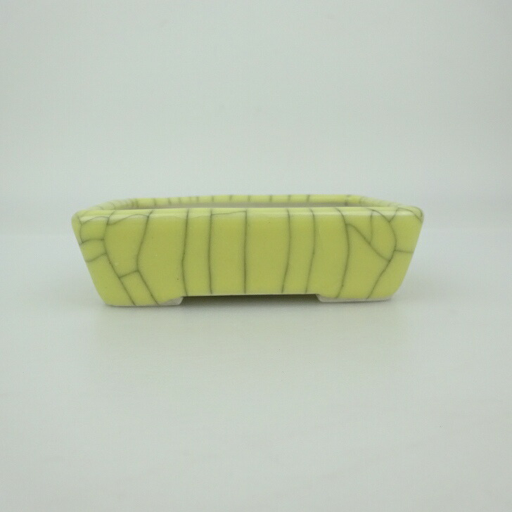 楽天市場】盆栽鉢 青香 小鉢 長辺 約5.9cm 長方鉢 貫入 縁付 釉薬 現品