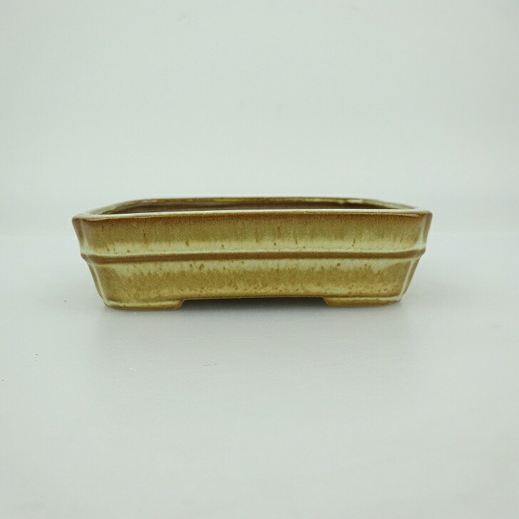 盆栽鉢 青香 小鉢 長辺 約9.4cm 長方鉢 中帯 隅入 釉薬 現品 送料無料
