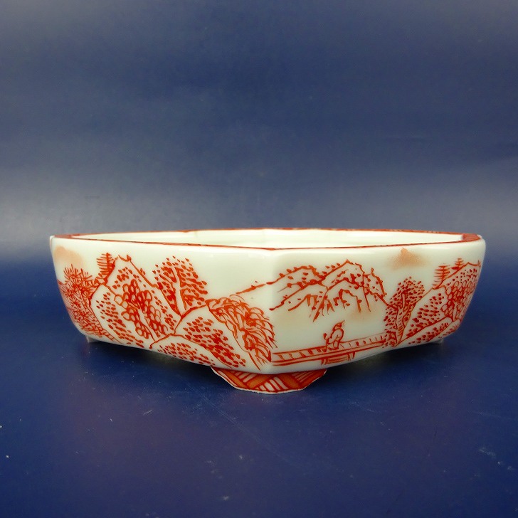 盆栽鉢 は二わ 目あたらしい鉢 小型 長辺 約13.4糎 剣草木瓜鉢 赤絵 見晴らし画 褒めたたえる用 現品 新品 ガーデニング・農業-花・ガーデン・DIY-植木鉢