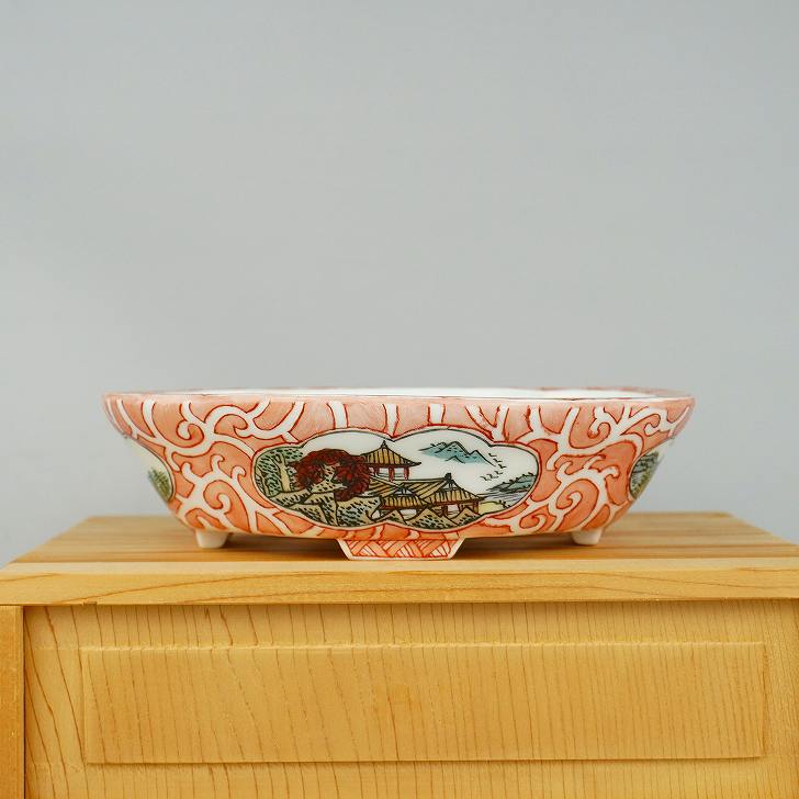 盆栽鉢 大谷 龍泉 (箱付き添い人) 窓抜 彩画 風景画 草木瓜鉢 褒めたたえる用  現品 新品 貨物輸送無料 鉢 鉢 余暇活動 一般受け商いもの 癒し 差し上げ物 贈りもの 御祭り