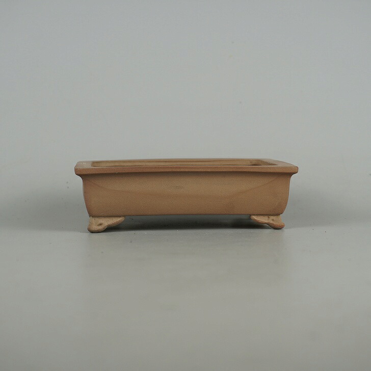 盆栽鉢 青香 小型 長辺 約13.5cm 長方鉢 雲足 泥物 現品 送料無料