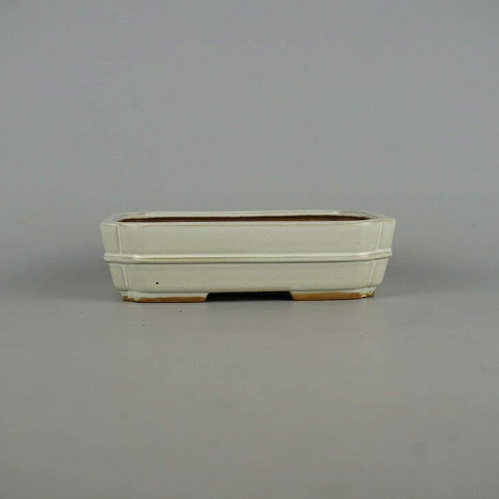 盆栽鉢 青香 小型 長辺 約14.7糎 長方鉢 隅入 中帯 釉薬 現品 貨物輸送無料