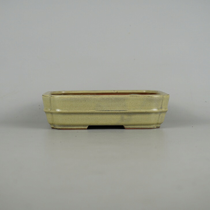 盆栽鉢 青香 小型 長辺 約14.8cm 長方鉢 隅入 中帯 釉薬 現品 送料無料 8,140円