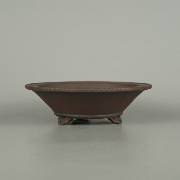 楽天市場】盆栽鉢 銭号外縁雲足長方鉢 植木鉢 常滑 泥鉢 6号 朱泥 小品