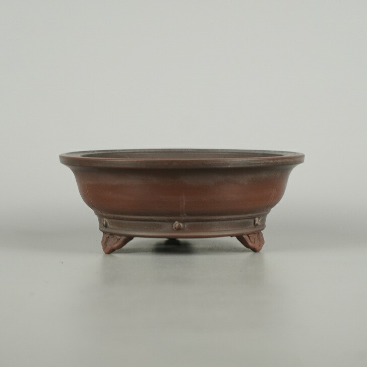 楽天市場】盆栽鉢 銭号外縁雲足長方鉢 植木鉢 常滑 泥鉢 6号 朱泥 小品