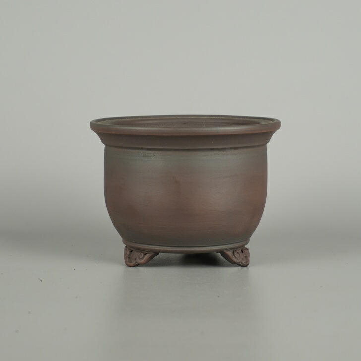 楽天市場】盆栽鉢 銭号外縁雲足長方鉢 植木鉢 常滑 泥鉢 6号 朱泥 小品