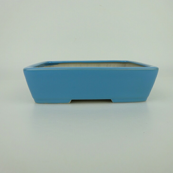 盆栽鉢 青香 小型 長辺 約14.8cm 長方鉢 釉薬 現品 送料無料