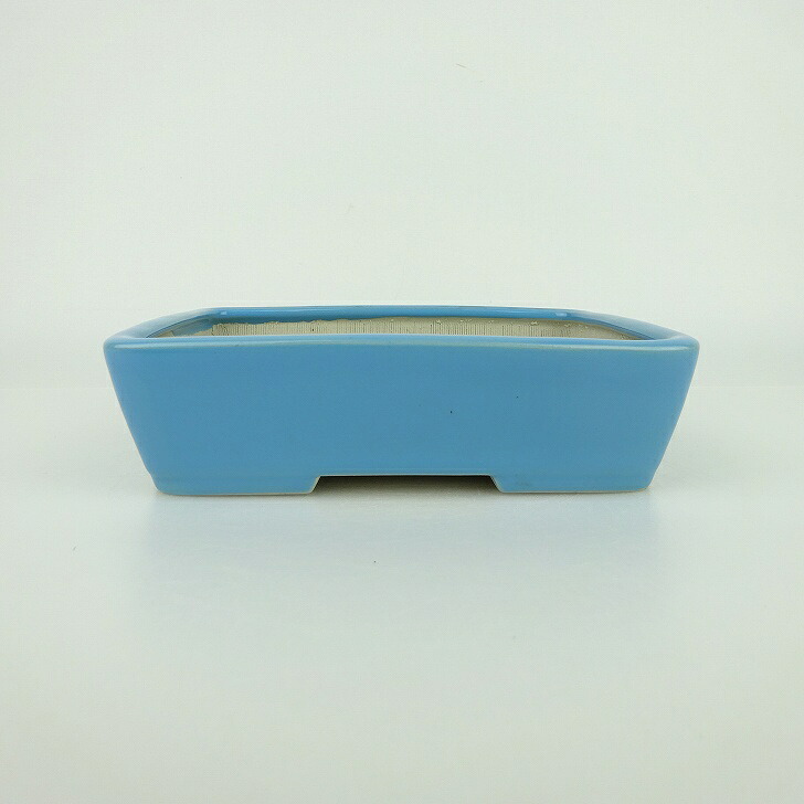 盆栽鉢 青香 小型 長辺 約14.5cm 長方鉢 釉薬 現品 送料無料