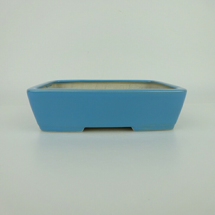盆栽鉢 青香 小型 長辺 約14.8cm 長方鉢 釉薬 現品 送料無料