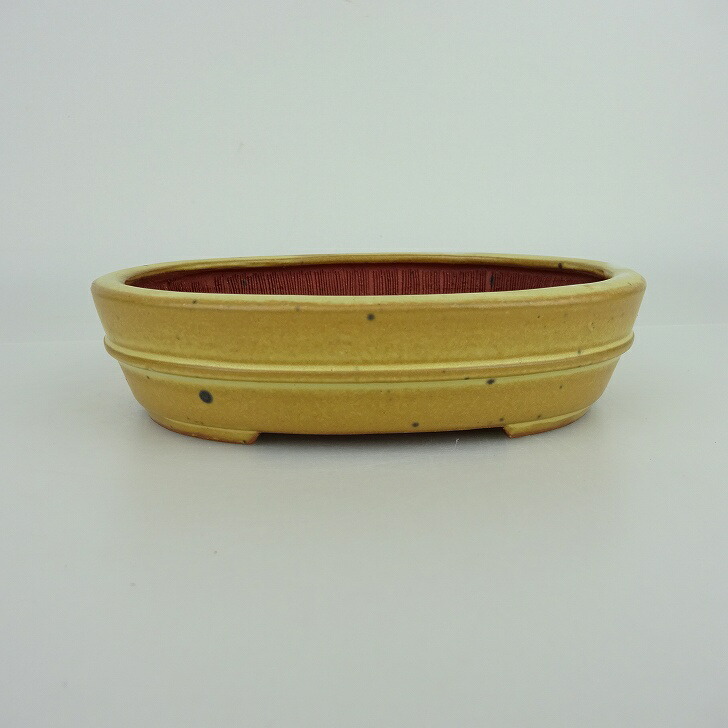 盆栽鉢 青香 小型 長辺 約14.3cm 楕円鉢 中帯 釉薬 現品 送料無料