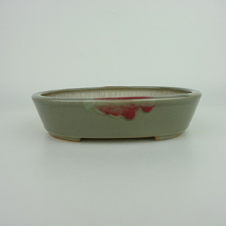 盆栽鉢 青香 小型 長辺 約14.5cm 楕円鉢 釉薬 現品 送料無料
