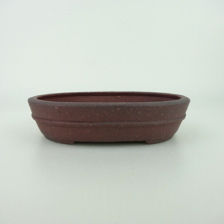 盆栽鉢 青香 小型 長辺 約14.8cm 楕円鉢 中帯 泥物 現品 送料無料 8,385円