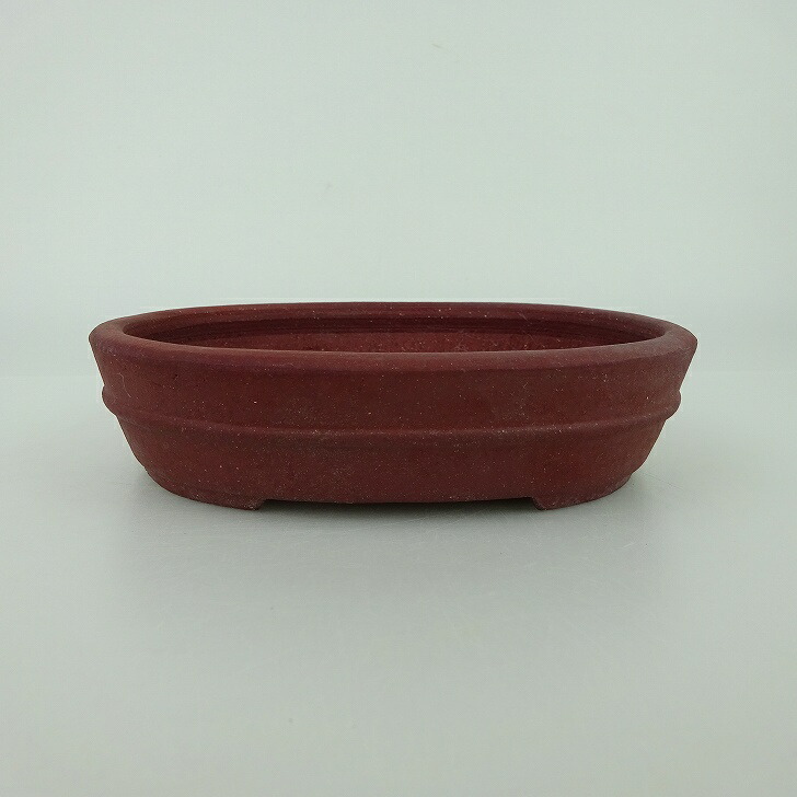 盆栽鉢 青香 小型 長辺 約14.5cm 楕円鉢 中帯 泥物 現品 送料無料