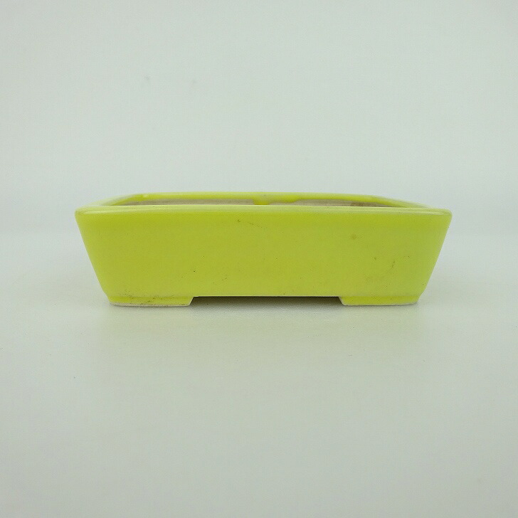 盆栽鉢 青香 小鉢 長辺 約9.5cm 長方鉢 釉薬 現品 送料無料