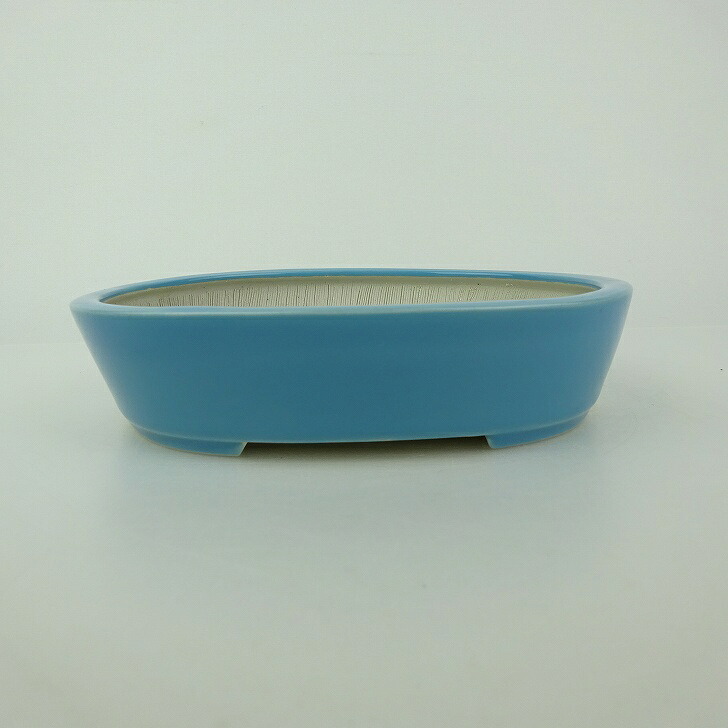 盆栽鉢 青香 小型 長辺 約14.8cm 楕円鉢 釉薬 現品 送料無料