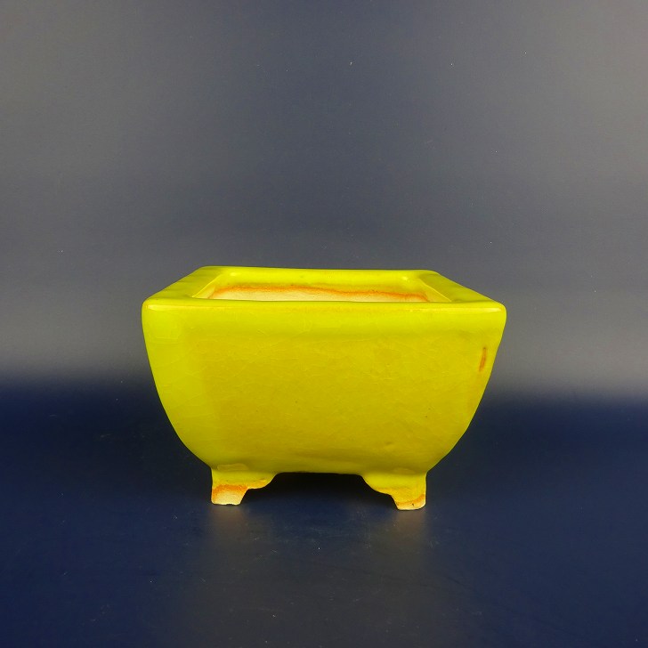 楽天市場】佳山外縁上下帯長方鉢 盆栽鉢 盆器 鉢 植木鉢 bonsaipot