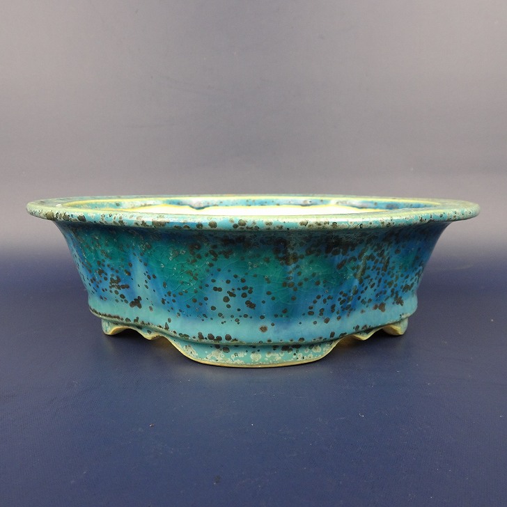 楽天市場】盆栽鉢 裕士外縁下紐長方鉢 植木鉢 常滑 中野裕士 泥