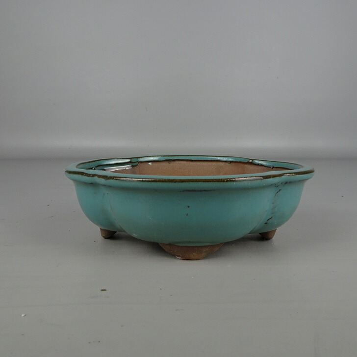 楽天市場】盆栽鉢 紫泥外縁木瓜式鉢 植木鉢 中国鉢 張氏製陶 落款あり