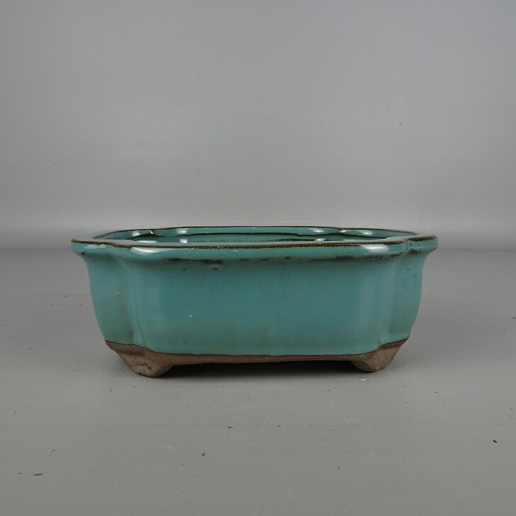 楽天市場】盆栽鉢 鴻陽 隅切り長方鉢 63 【作家鉢 常滑焼 日本鉢 盆栽