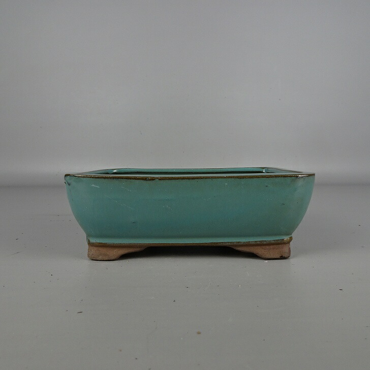 楽天市場】盆栽鉢 烏泥袋式撫角長方鉢 張氏製陶 中国鉢 支那鉢 宜興 新