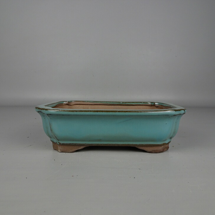 楽天市場】盆栽鉢 鴻陽 隅切り長方鉢 63 【作家鉢 常滑焼 日本鉢 盆栽