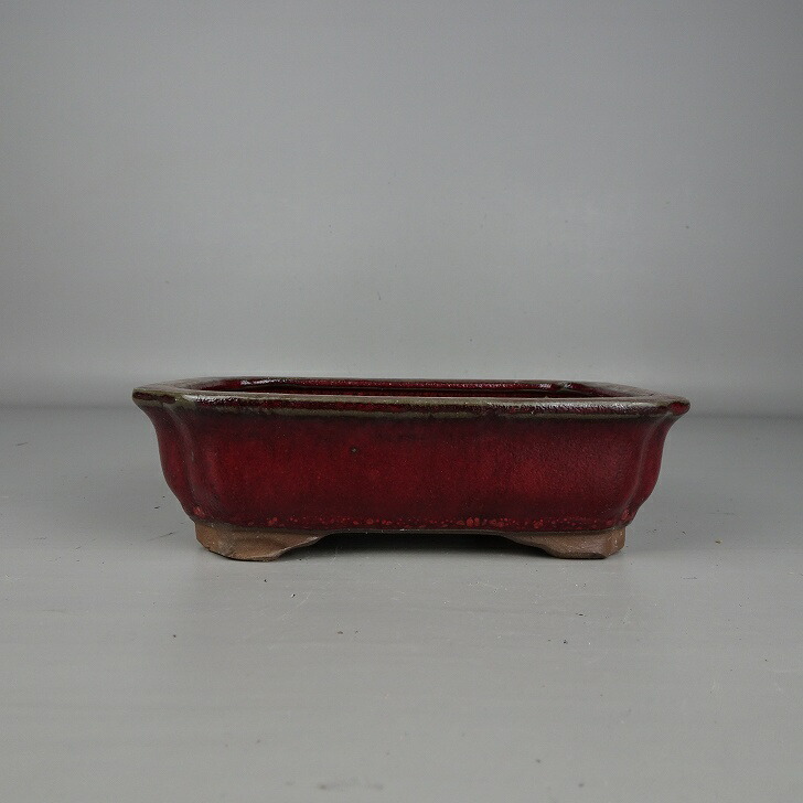 楽天市場】盆栽鉢 烏泥袋式撫角長方鉢 張氏製陶 中国鉢 支那鉢 宜興 新