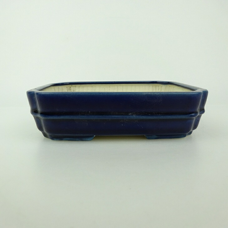 盆栽鉢 青香 小型 長辺 約14.8cm 長方鉢 隅入 中帯 釉薬 現品 送料無料