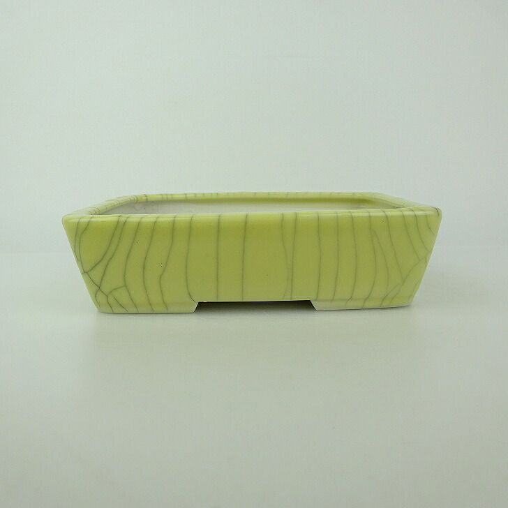 盆栽鉢 青香 小型 長辺 約14.8cm 長方鉢 貫入 釉薬 現品 送料無料