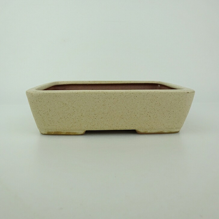 盆栽鉢 青香 小型 長辺 約14.5cm 長方鉢 釉薬 現品 送料無料
