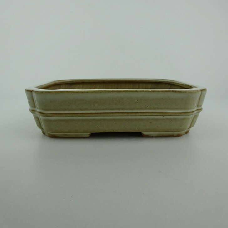 盆栽鉢 青香 小型 長辺 約14.3cm 長方鉢 隅入 中帯 釉薬 現品 送料無料 8,059円