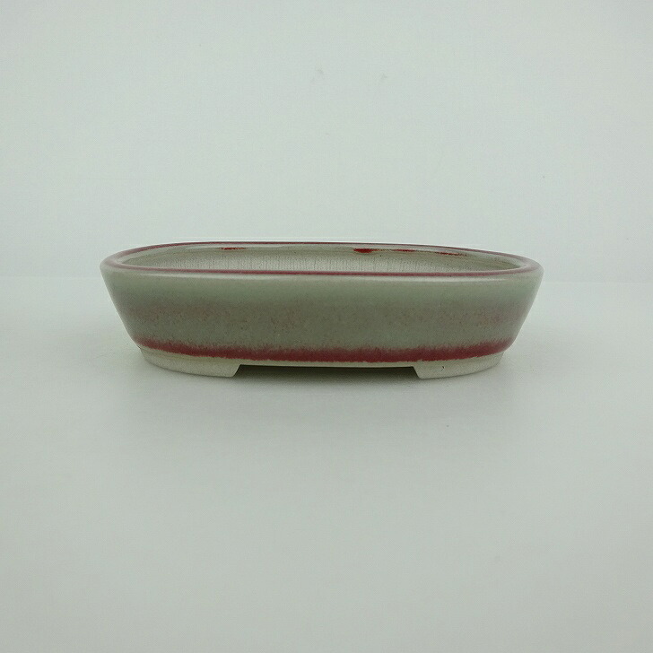 盆栽鉢 青香 小鉢 長辺 約9cm 楕円鉢 釉薬 現品 送料無料