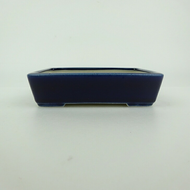 盆栽鉢 青香 小型 長辺 約12cm 長方鉢 釉薬 現品 送料無料 6,518円