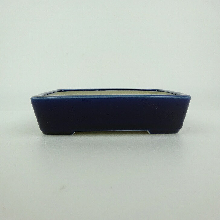 盆栽鉢 青香 小型 長辺 約12cm 長方鉢 釉薬 現品 送料無料