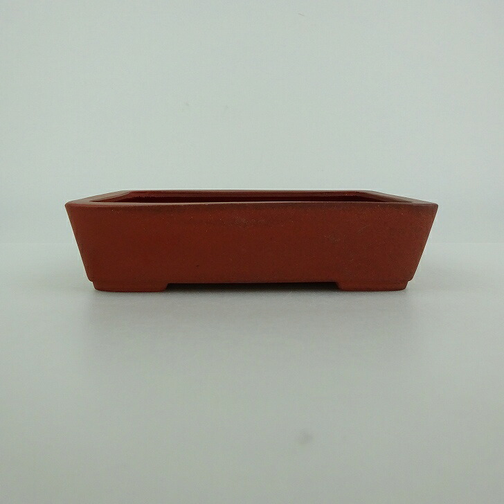 盆栽鉢 青香 小型 長辺 約11.7cm 長方鉢 泥物 現品 送料無料