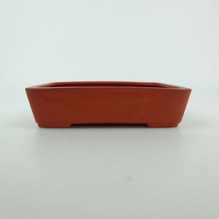 盆栽鉢 青香 小型 長辺 約11.8cm 長方鉢 泥物 現品 送料無料