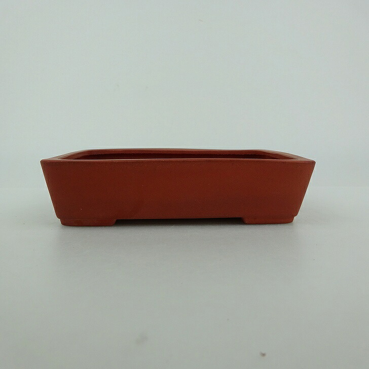 盆栽鉢 青香 小型 長辺 約11.7cm 長方鉢 泥物 現品 送料無料