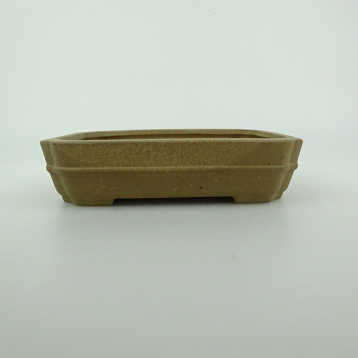 盆栽鉢 青香 小型 長辺 約12cm 長方鉢 隅入 泥物 現品 送料無料