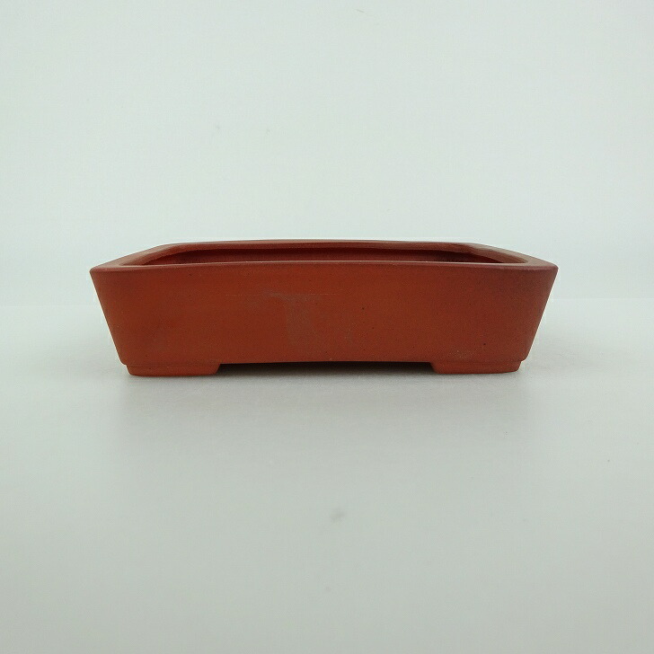 盆栽鉢 青香 小型 長辺 約11.7cm 長方鉢 泥物 現品 送料無料
