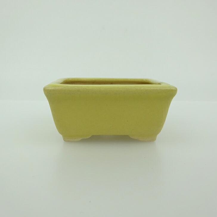 楽天市場】盆栽鉢 青香 小鉢 長辺 約5.9cm 長方鉢 貫入 縁付 釉薬 現品