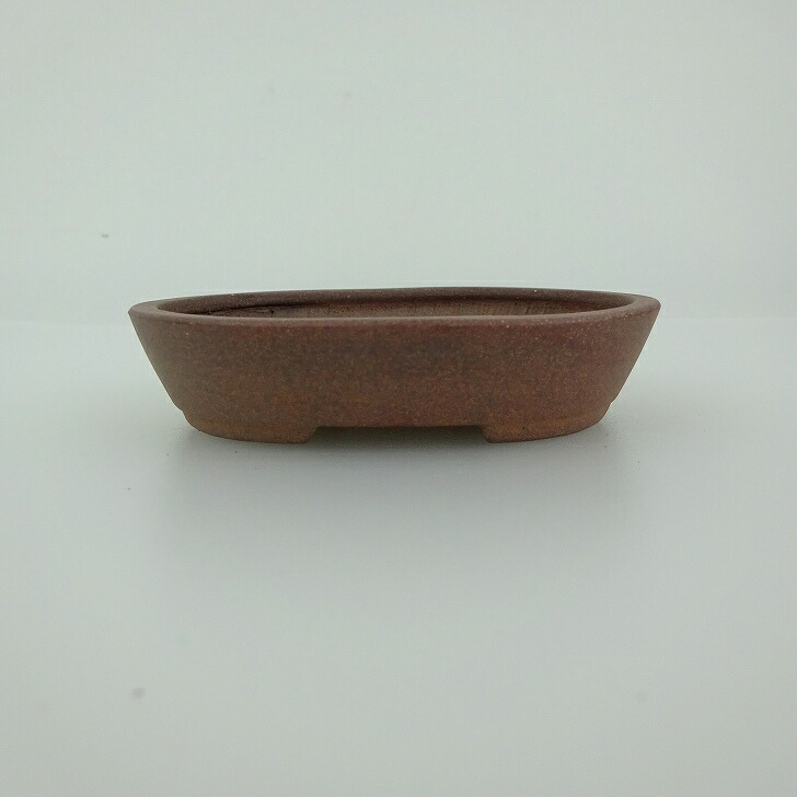 盆栽鉢 青香 小鉢 長辺 約8.1cm 楕円鉢 泥物 現品 送料無料