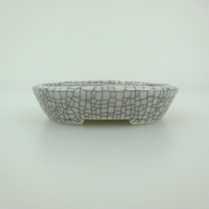 盆栽鉢 青香 小鉢 長辺 約8.4cm 楕円鉢 貫入 釉薬 現品 送料無料