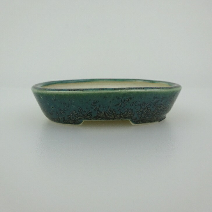 盆栽鉢 青香 小鉢 長辺 約8.4cm 楕円鉢 釉薬 現品 送料無料