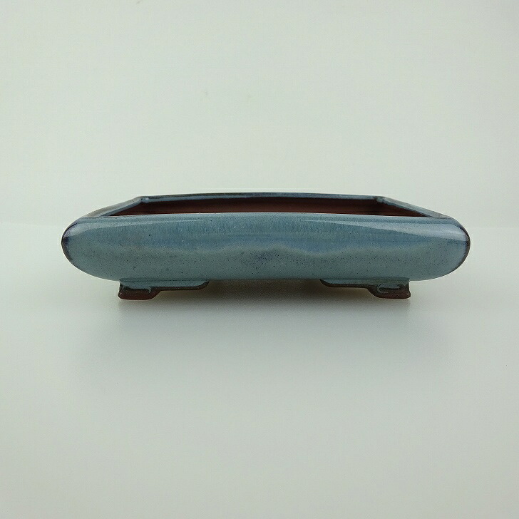 盆栽鉢 青香 小型 長辺 約11.5cm 長方鉢 段足 釉薬 現品 送料無料