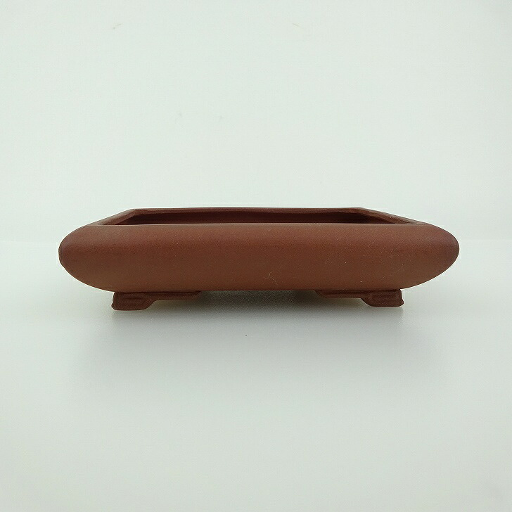 盆栽鉢 青香 小型 長辺 約11.5cm 長方鉢 段足 泥物 現品 送料無料
