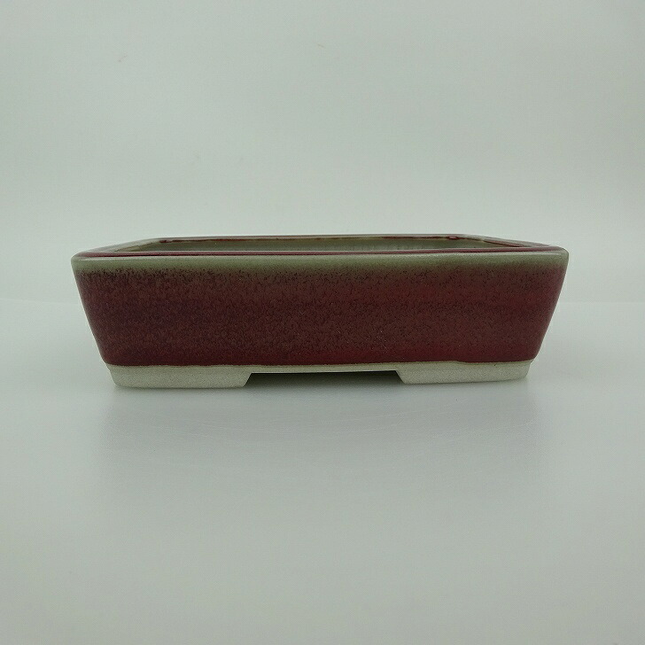 盆栽鉢 青香 小型 長辺 約14.5cm 長方鉢 釉薬 現品 送料無料 7,732円