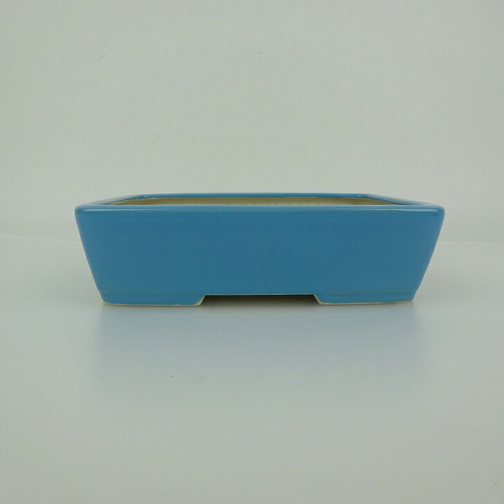 盆栽鉢 青香 小型 長辺 約14.9cm 長方鉢 釉薬 観賞用 現品 送料無料 7,841円