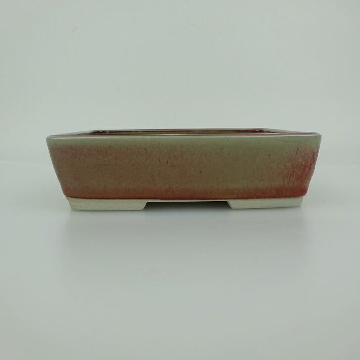 盆栽鉢 青香 小型 長辺 約14.5cm 長方鉢 釉薬 観賞用 現品 送料無料
