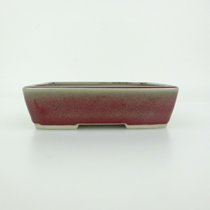盆栽鉢 青香 小型 長辺 約14.5cm 長方鉢 釉薬 現品 送料無料