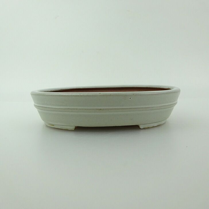 盆栽鉢 青香 小型 長辺 約11.9cm 楕円鉢 中帯 釉薬 現品 送料無料