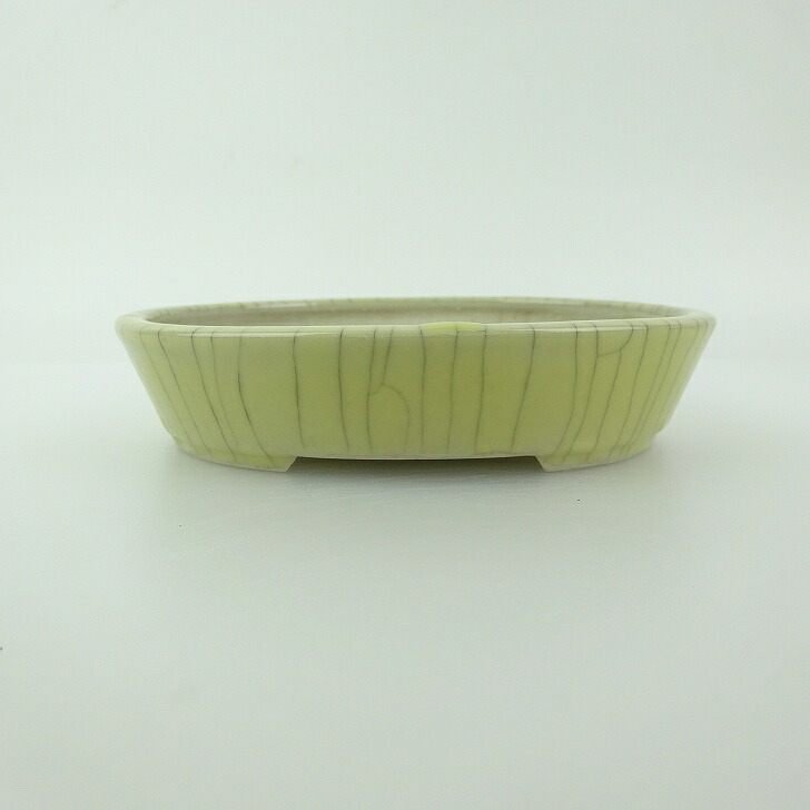 盆栽鉢 青香 小型 長辺 約11.9cm 楕円鉢 貫入 釉薬 現品 送料無料 6,160円